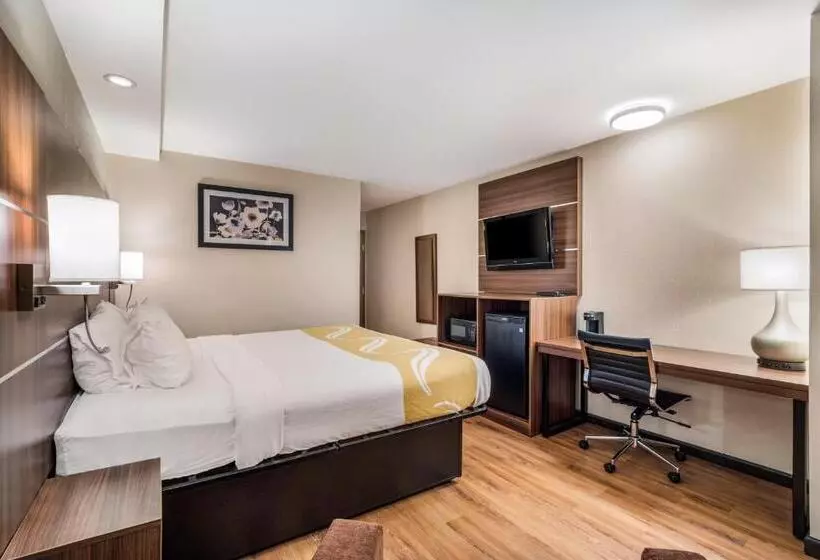 キングサイズベッドのスタンダードルーム, Quality Inn & Suites Augusta Fort Eisenhower Area