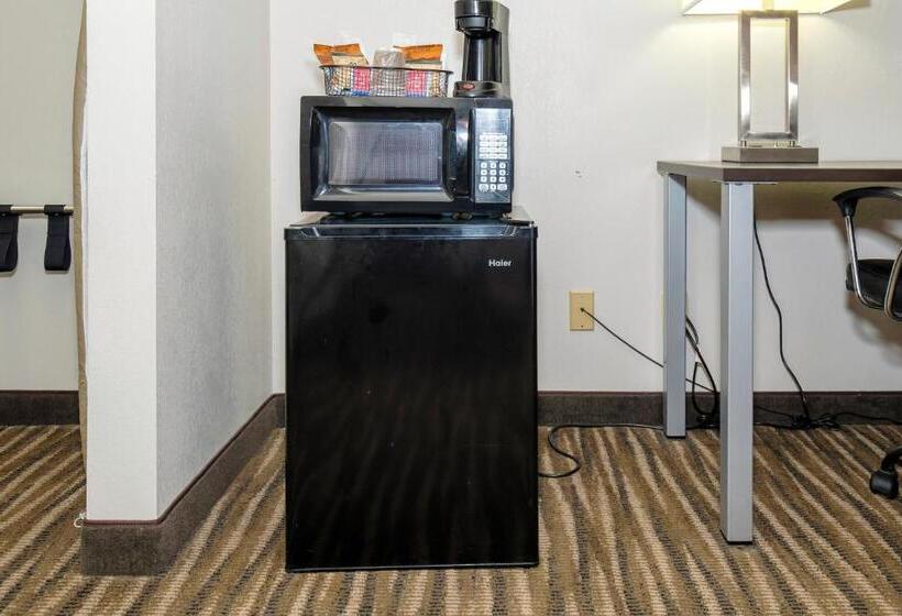 장애인을 위한 킹사이즈 침대 스탠다드 룸, Red Roof Inn Defuniak Springs