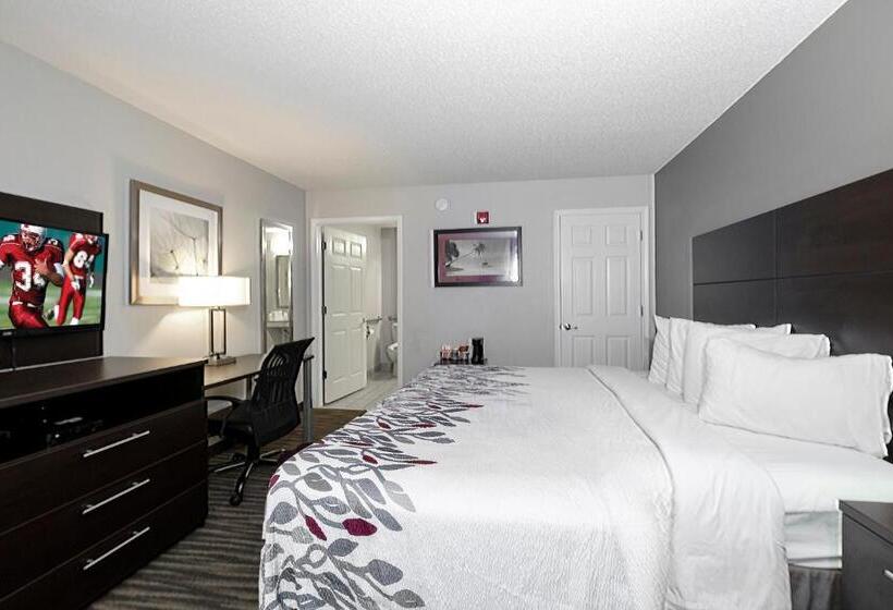 غرفة قياسية سرير كينج لذوى الإحتياجات الخاصة, Red Roof Inn Defuniak Springs