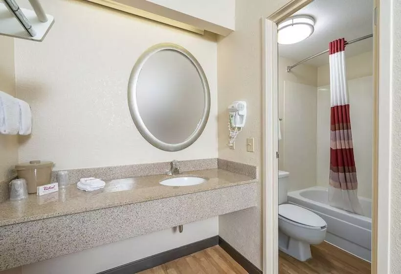 デラックスルーム, Red Roof Inn Detroit Rochester Hills/ Auburn Hills