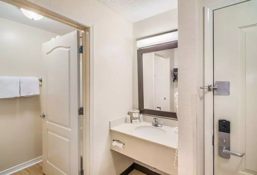 デラックスルーム, Red Roof Inn & Suites Pensacola East   Milton
