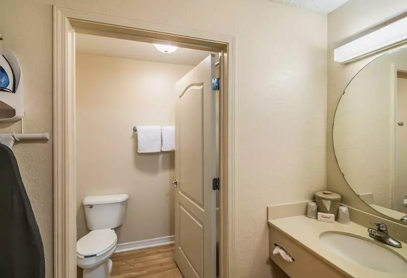 デラックスルーム, Red Roof Inn & Suites Pensacola East   Milton
