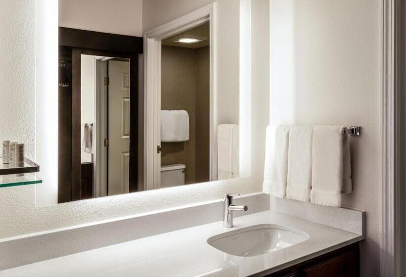 带大床的标准工作室, Residence Inn By Marriott Boulder Broomfield