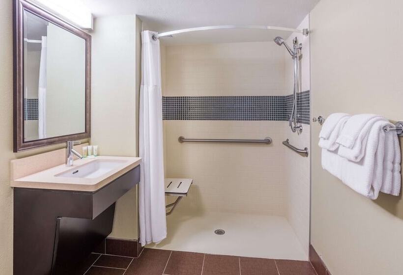 Suite Adaptée aux Personnes à Mobilité Réduite, Sonesta Es Suites Austin The Domain Area