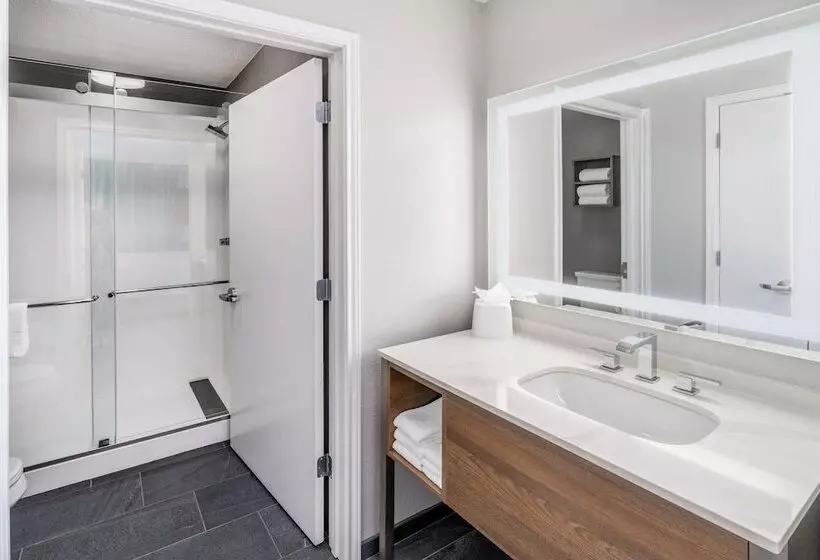 スタンダードスタジオ, Staybridge Suites Denver   Cherry Creek, An Ihg