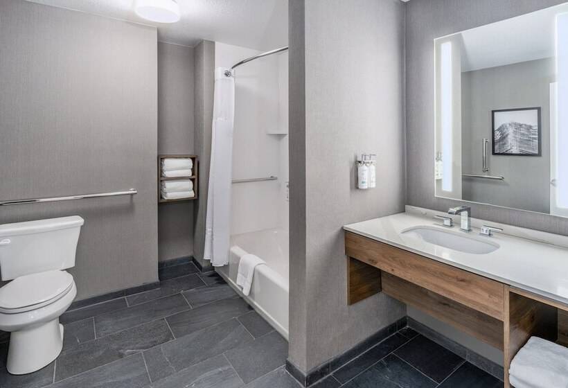 Люкс, Staybridge Suites Denver   Cherry Creek, An Ihg