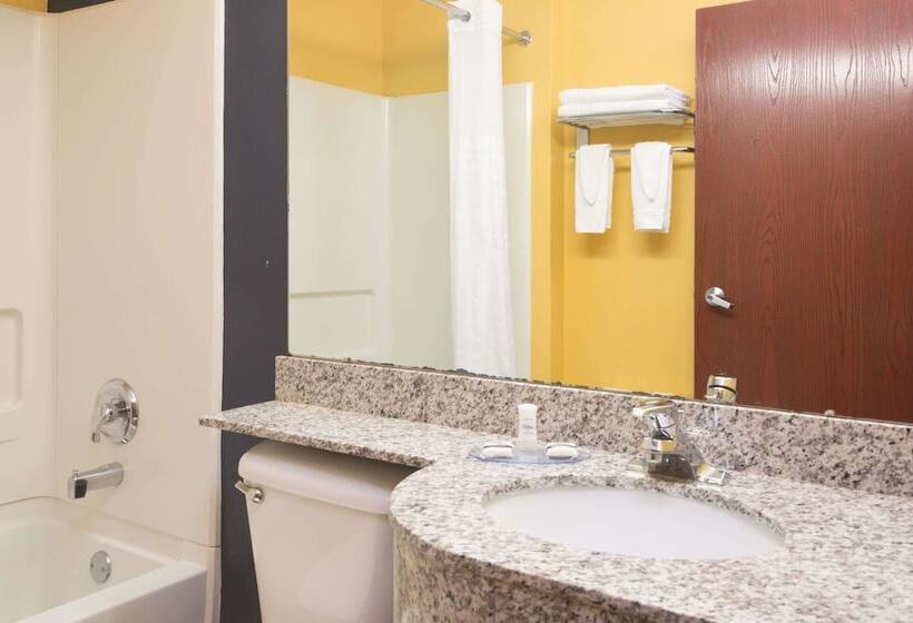 Люкс, Microtel Inn & Suites By Wyndham Hillsborough