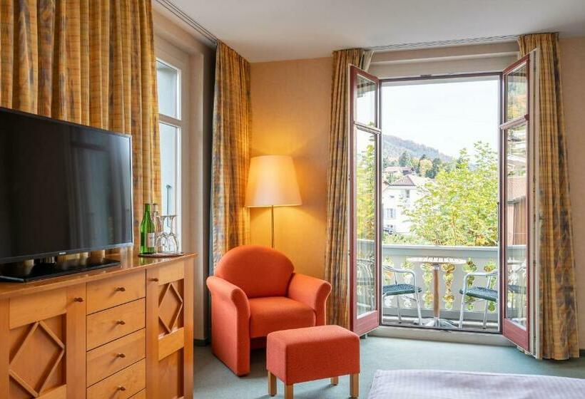 带观景的标准间, Schönbühl Hotel & Restaurant Lake Thun