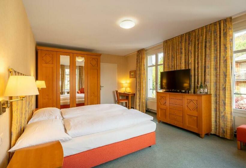 带观景的标准间, Schönbühl Hotel & Restaurant Lake Thun