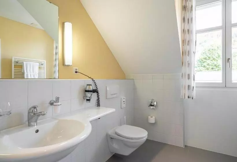 ジュニアスイート, Schönbühl Hotel & Restaurant Lake Thun