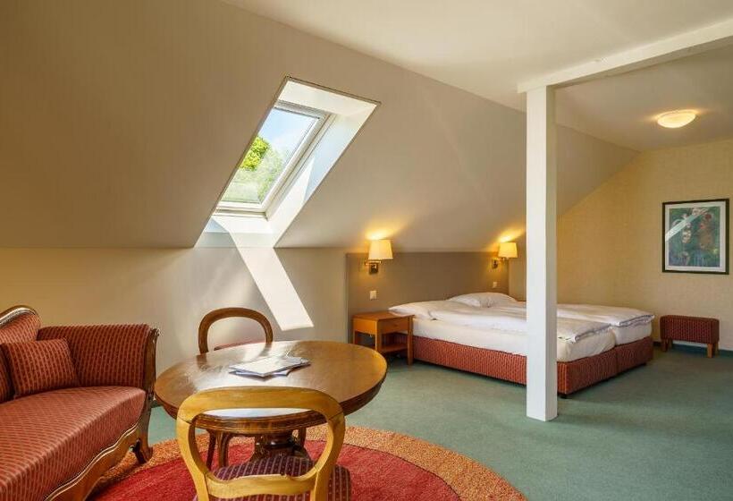 小型套房, Schönbühl Hotel & Restaurant Lake Thun