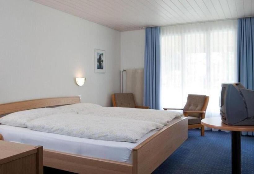スタンダードルーム, Seehotel Bönigen
