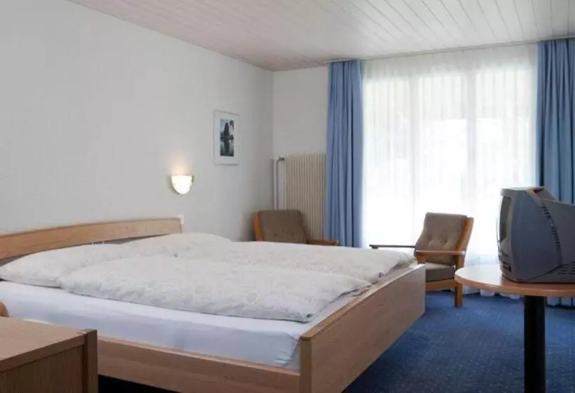 スタンダードルーム, Seehotel Bönigen