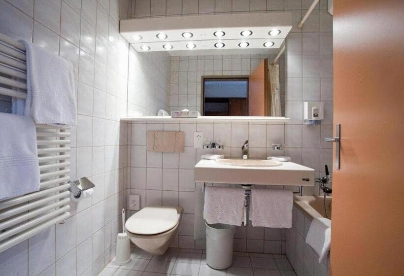 レイクビュースタンダードルーム, Seehotel Bönigen