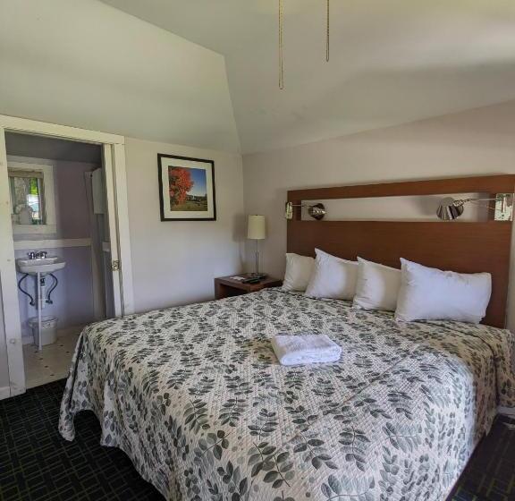 Standard-studio King-vuode, Perry S Motel And Cottages