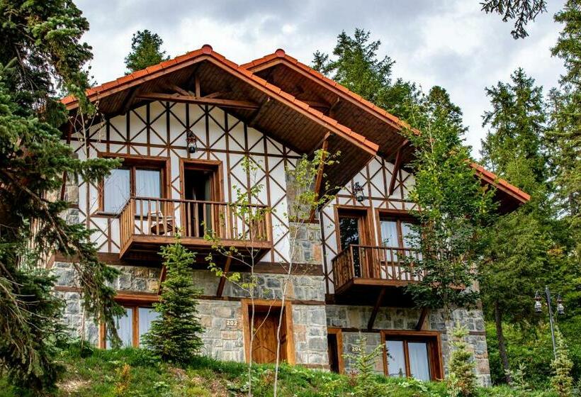 Номер Стандарт, Foleya Mountain Resort Hotel & Villas
