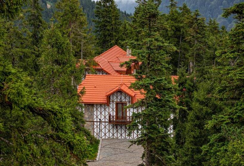 فيلا سوبيريور غرفة نوم واحدة, Foleya Mountain Resort Hotel & Villas