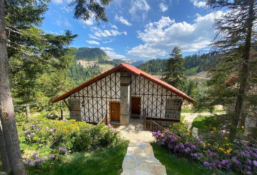 Номер Стандарт, Foleya Mountain Resort Hotel & Villas