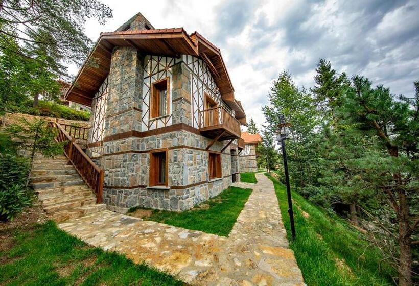 Апартаменты 1 Спальня Нижний Этаж, Foleya Mountain Resort Hotel & Villas