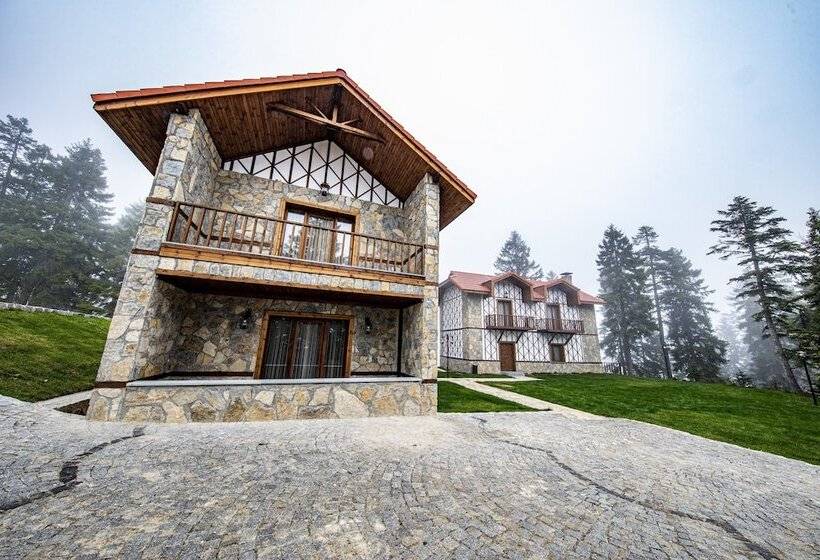 غرفة قياسية, Foleya Mountain Resort Hotel & Villas