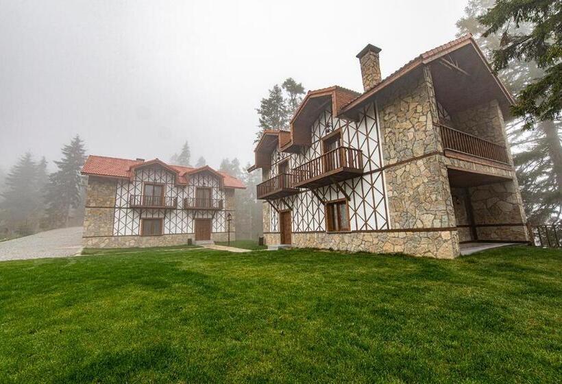 スーペリアー1ベッドルームビラ, Foleya Mountain Resort Hotel & Villas