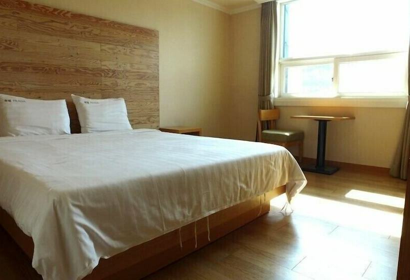 基本间, Prada Hotel & Pension