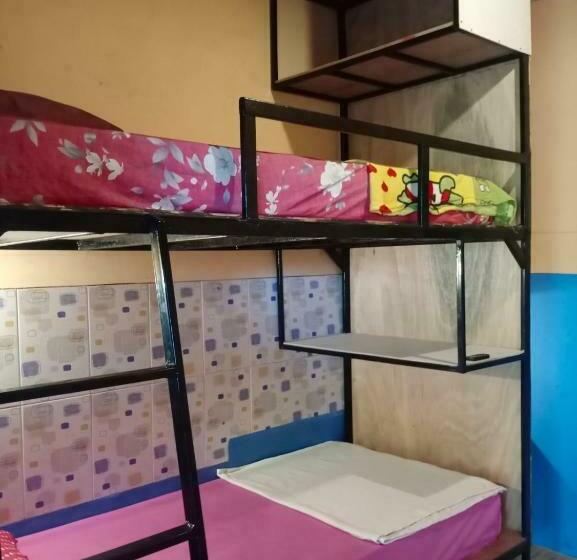 غرفة إقتصادية, Salty Dog Hostel