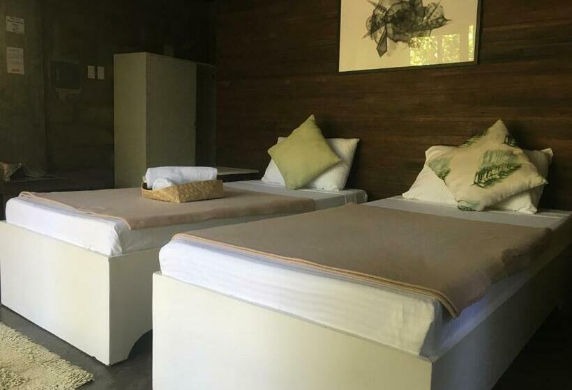 标准间, Ted S Bed And Breakfast