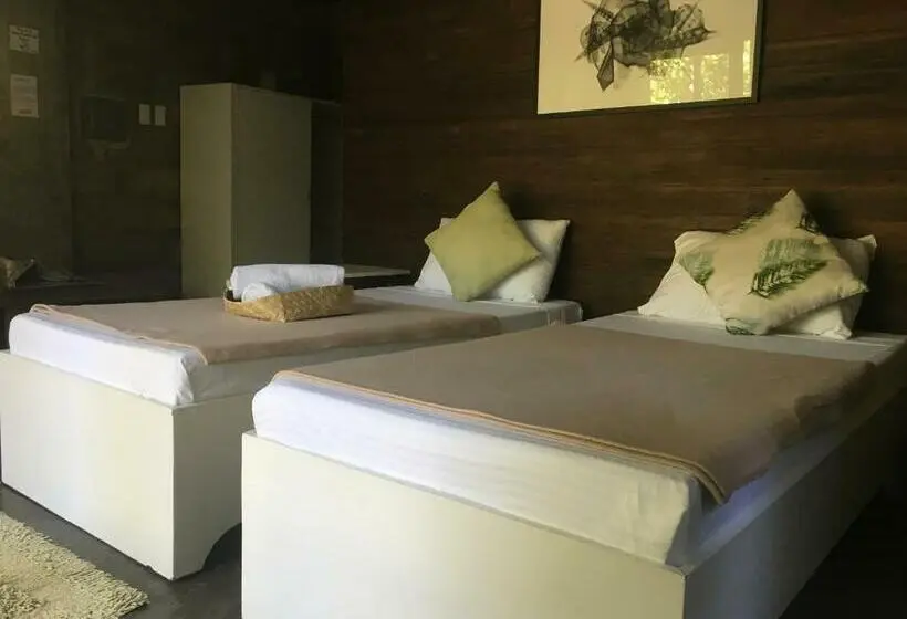 スタンダードルーム, Ted S Bed And Breakfast