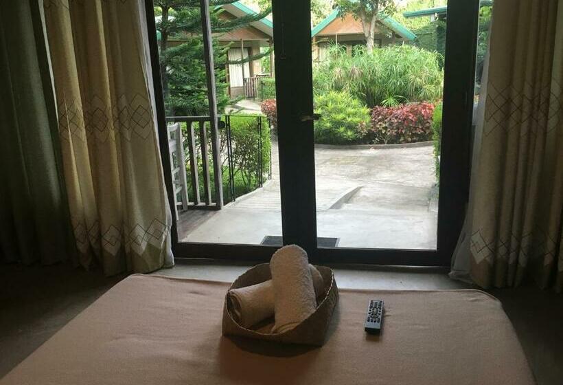 스탠다드 룸, Ted S Bed And Breakfast