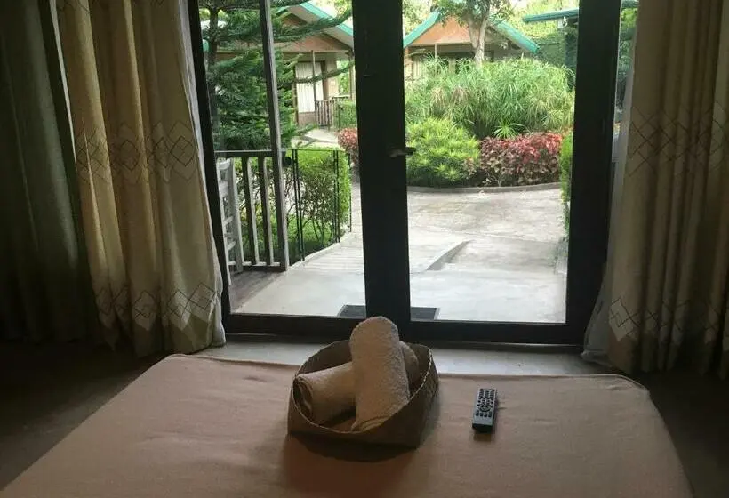 スタンダードルーム, Ted S Bed And Breakfast