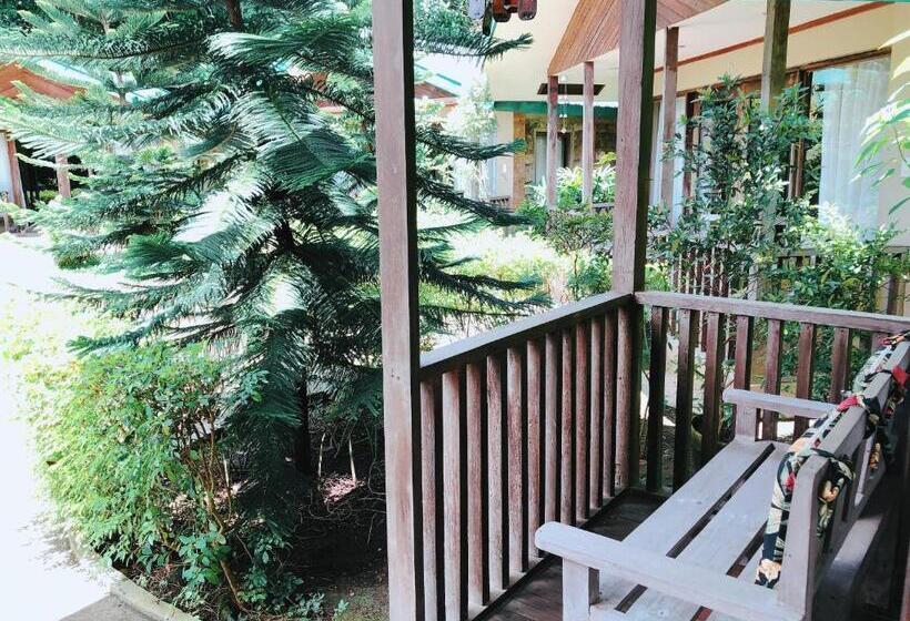 基本间, Ted S Bed And Breakfast