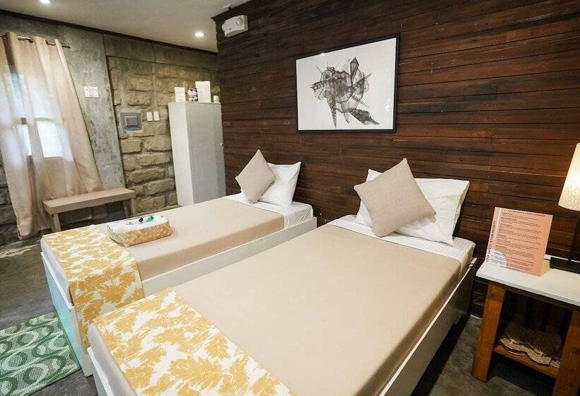 标准间, Ted S Bed And Breakfast