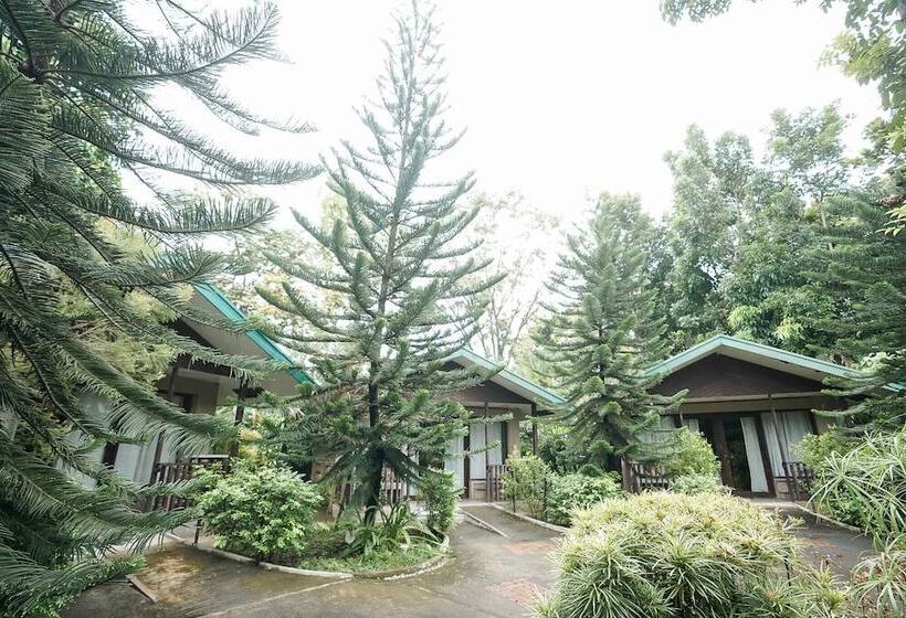 기본룸, Ted S Bed And Breakfast