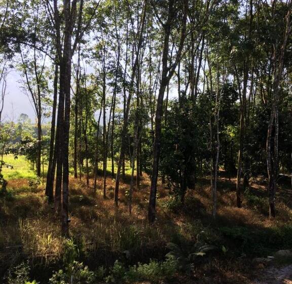 Habitació Triple Basic, Khaosok Secret Hostel