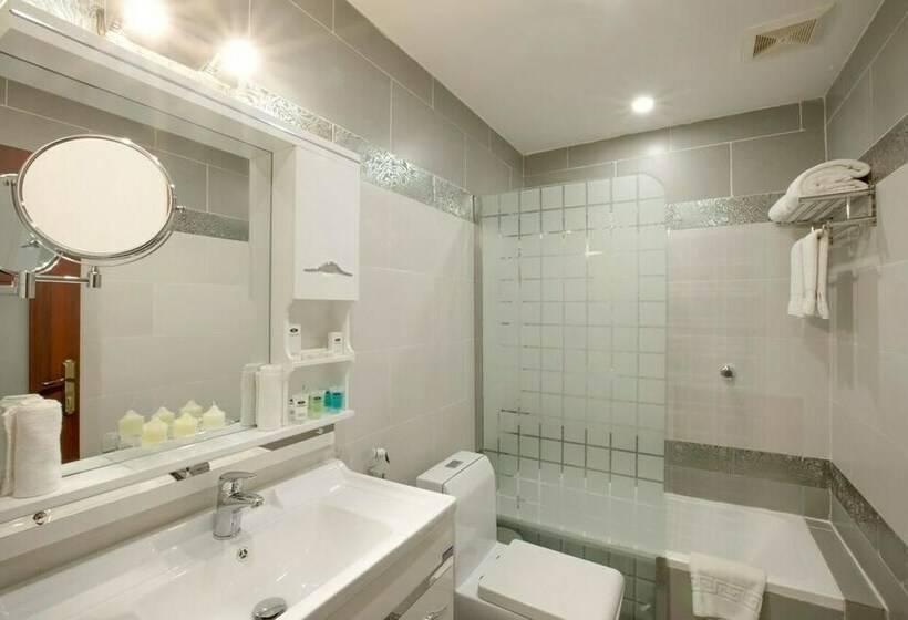 行政两卧套房, Le Park Concord