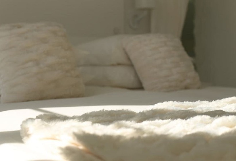 חדר סטנדרט, Les Reves De Flamboin