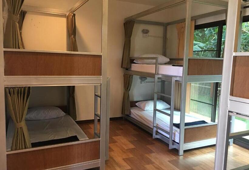 패밀리 룸, Sleep Soundly By The Sea