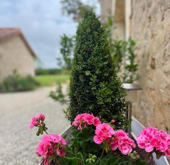 标准间, Tendance Campagne Chambre D Hôtes