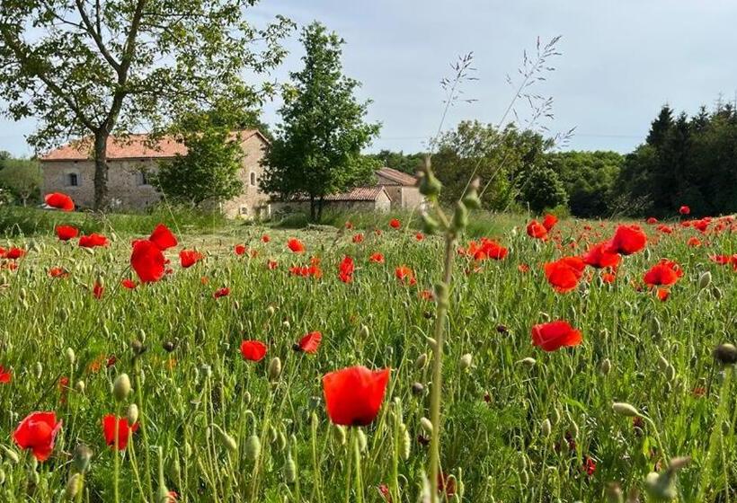 标准间, Tendance Campagne Chambre D Hôtes