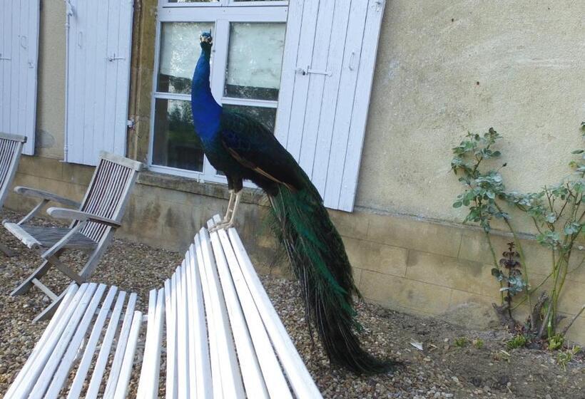 Номер Стандарт, Chateau De Sury