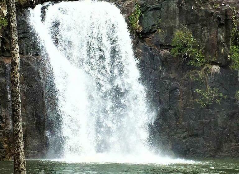 침실 1개 주택, Palm Grove Rainforest Retreat