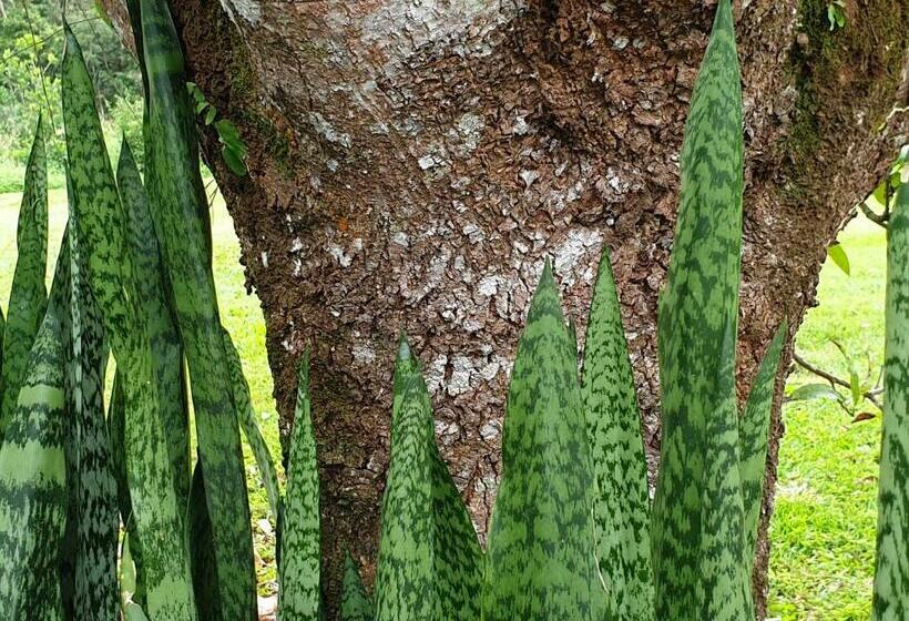 Дом 1 Спальня, Palm Grove Rainforest Retreat