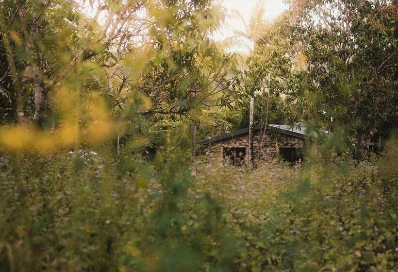 침실 1개 주택, Palm Grove Rainforest Retreat