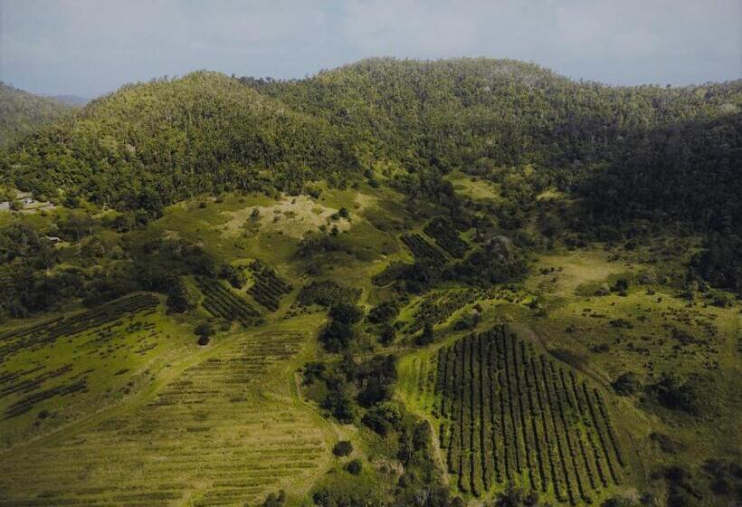 침실 1개 주택, Palm Grove Rainforest Retreat