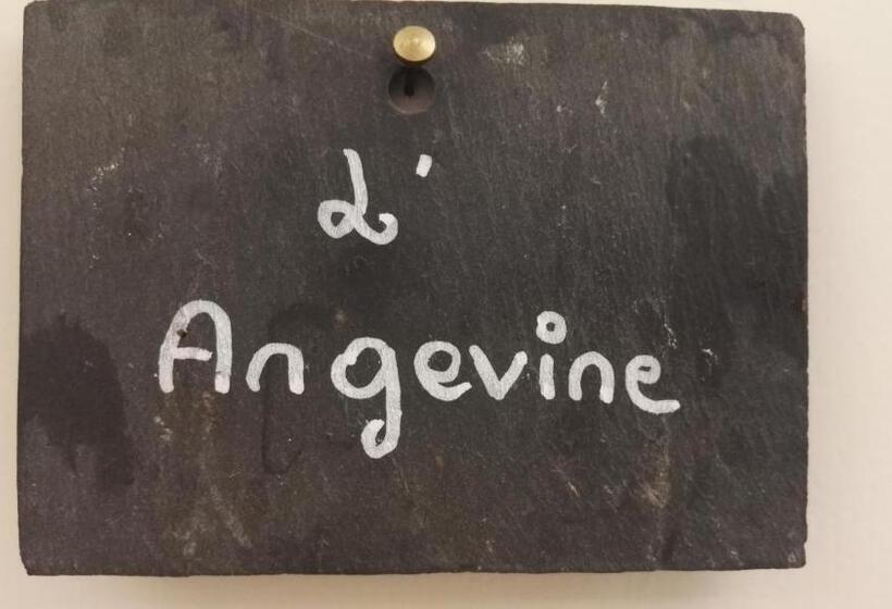 패밀리 스위트, Domaine Du Plessis Grimaud