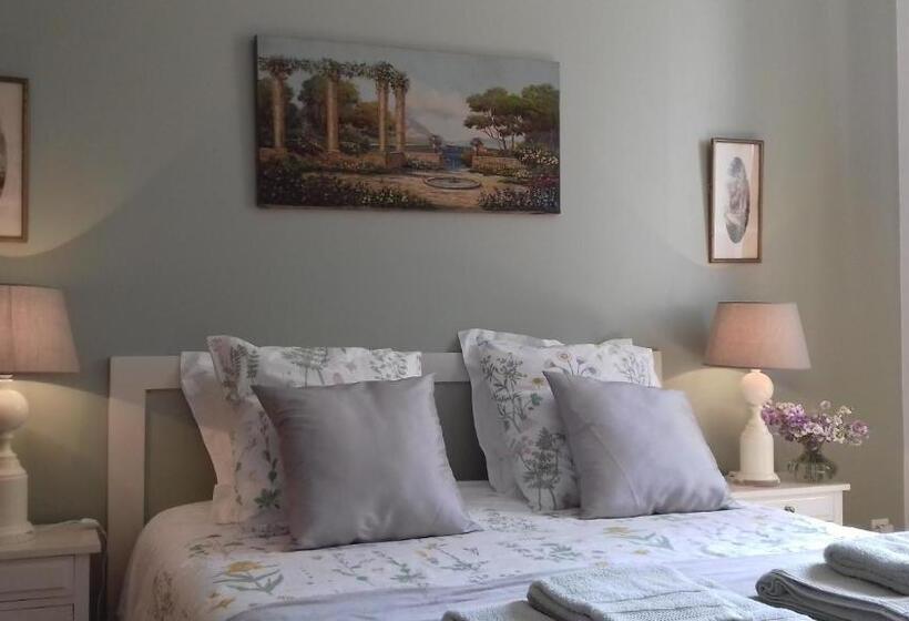 수피리어 룸, Ombre Rose