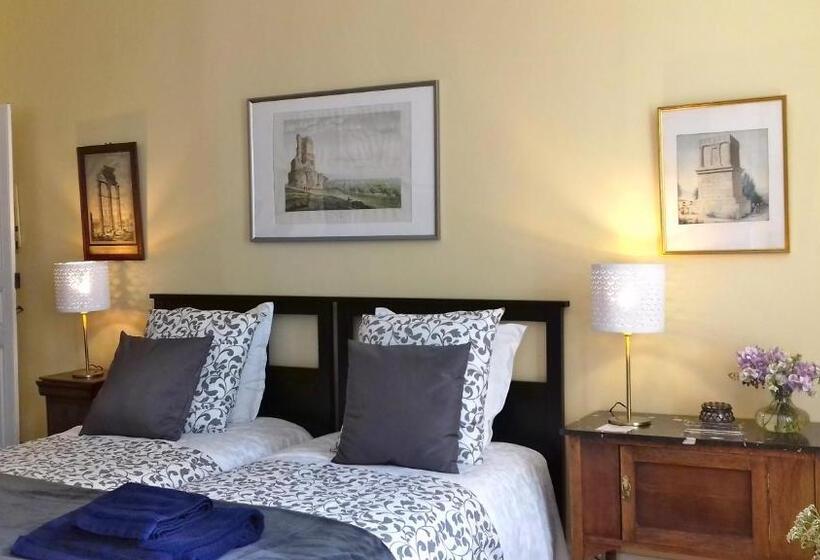 수피리어 룸, Ombre Rose