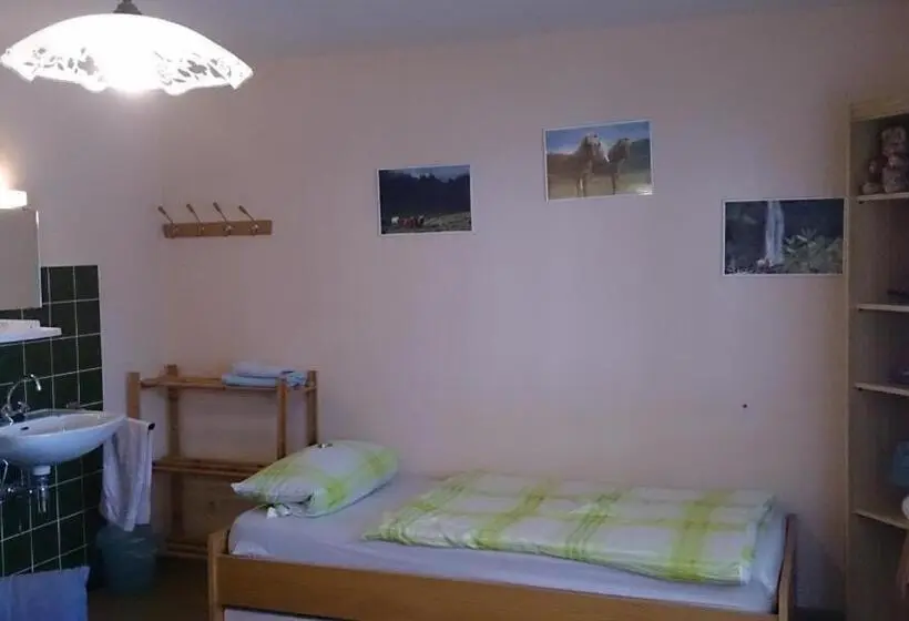 Standard Yhden Hengen Huone, Gästehaus Burgwald Trekking