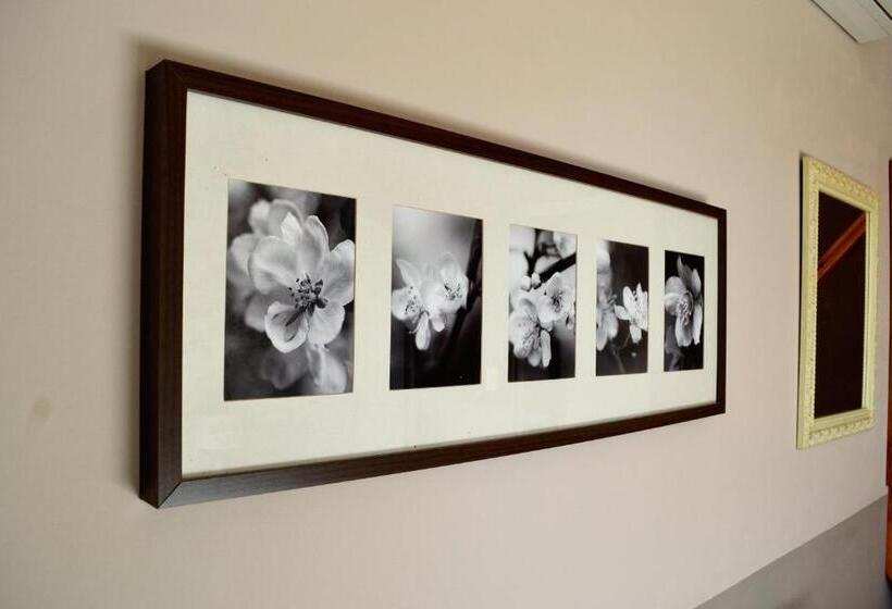 Номер Стандарт, La Grenouillere